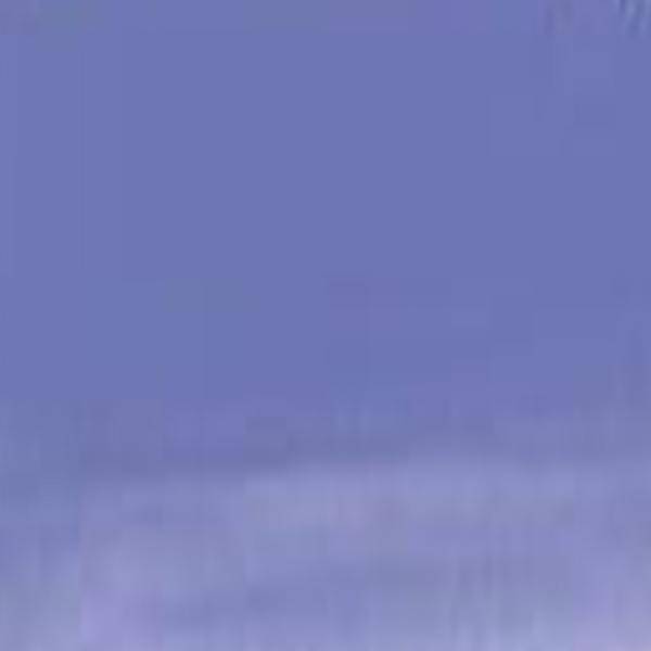 Thumbnail 29
